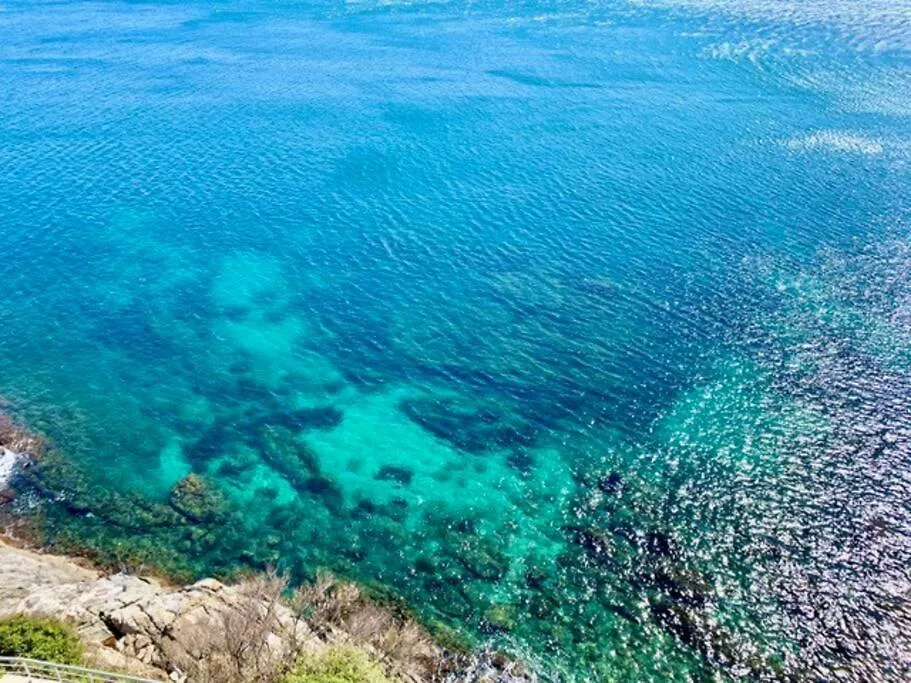 Les Pieds Dans L'Eau, La Tete Dans Les Nuages, Roses Apartment